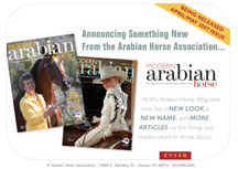 eNewsletter Design Services Arabian Horse Magazine Publication